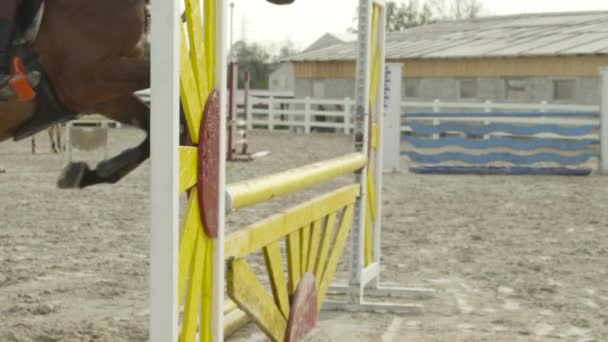 SLOW MotION: спортивне показ коней, що стрибає через високий паркан у манежі для їзди — стокове відео