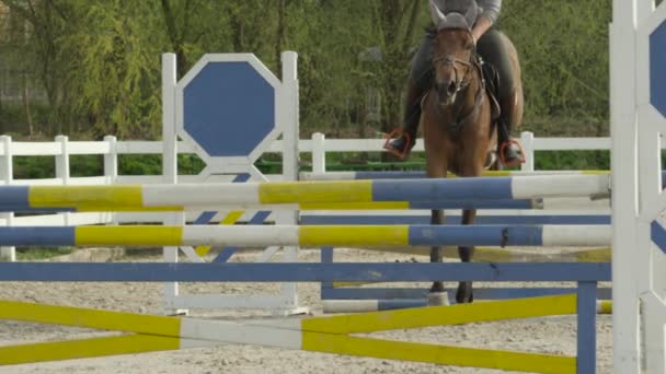Movimiento lento: jinete irreconocible y caballo saltando difícil showjumping curso — Vídeos de Stock