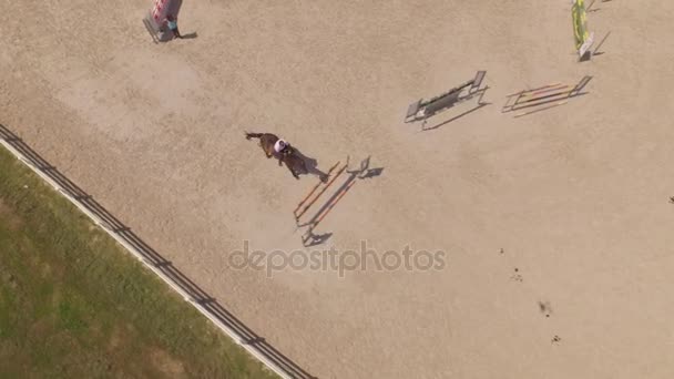 AERIAL: Voando acima cavaleiro showjumping em paddock ao ar livre com cavalo esporte — Vídeo de Stock