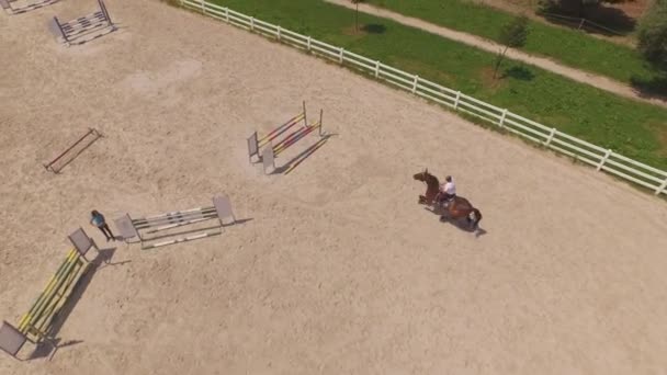 AÉRIAL : Cavalier professionnel sautant sur un parcours de saut d'obstacles avec un cheval brun fort en manège — Video