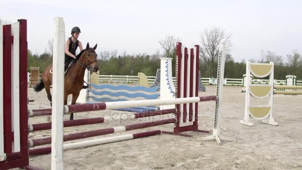 MOCIÓN LENTA: Joven saltadora saltando por encima de la valla con caballo de la bahía marrón — Vídeo de stock