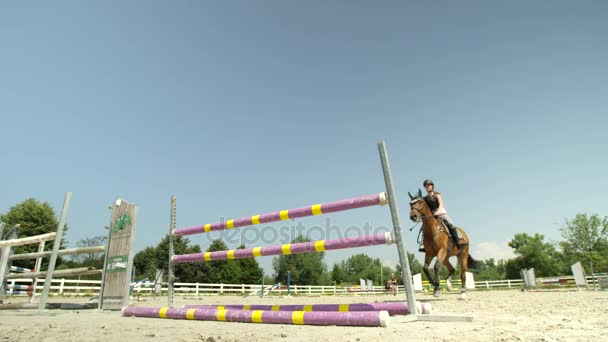 SLOW MOTION: Дівчина гонщик має шоу стрибає урок зі своїм конем на відкритому повітрі — стокове відео