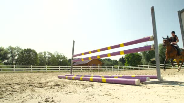 Movimiento lento: Joven jinete saltando sobre una barrera en la arena al aire libre — Vídeos de Stock