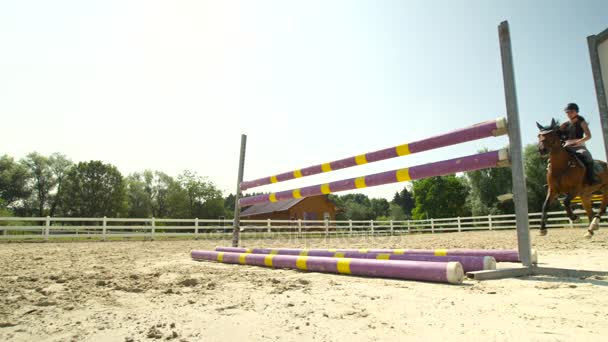 SLOW MOTION: Young female rider jumping over a barrier in outdoors arena — Stock Video