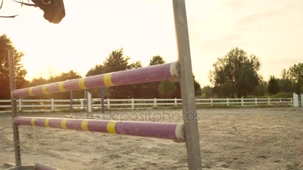 慢动作︰ 女人车手训练马匹高栅栏与母马在围场 — 图库视频影像