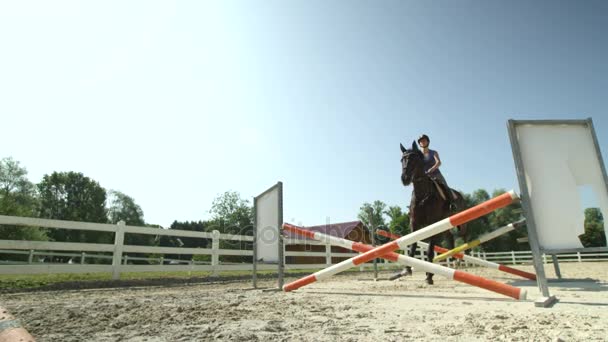 SLOW MOTION: Giovane cavallerizza saltando la recinzione con il suo cavallo nel paddock — Video Stock