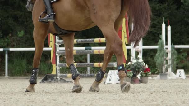 LOW MOTION: Desporto equestre showjumping competição ao ar livre arena arenosa — Vídeo de Stock