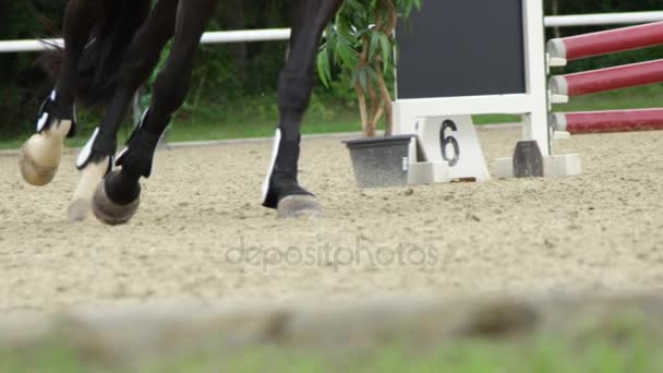 SLOW MOTION FLOSE UP: Cavalo preto em cantering equestre showjumping show — Vídeo de Stock