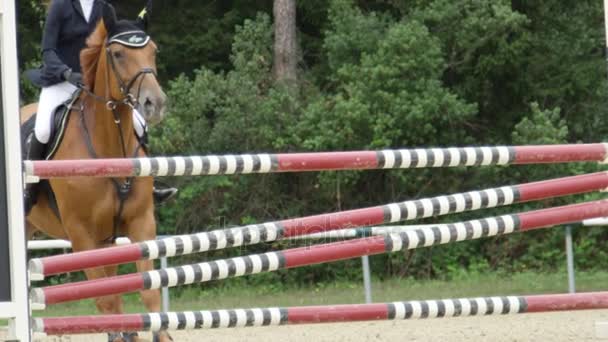 SLOW MOTION: Cavaliere irriconoscibile e cavallo che salta una recinzione in caso di evento equestre — Video Stock