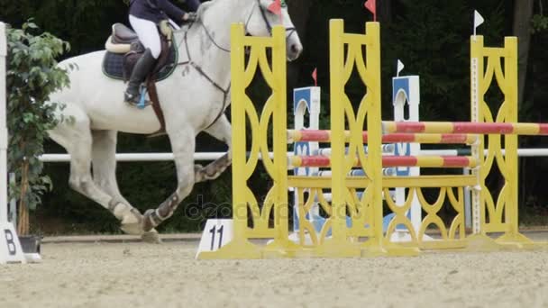 LOW MOTION: Cavaleiro em um cavalo branco pulando a cerca de oxer em show equestre — Vídeo de Stock