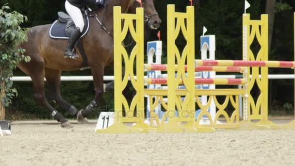 SLOW MotION: Конкурентоспроможний гонщик і коні стрибають огорожами в шоу-стрибку — стокове відео