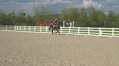 Yakın: büyük açık havada binme arenada paça güzel koyu kahverengi aygır