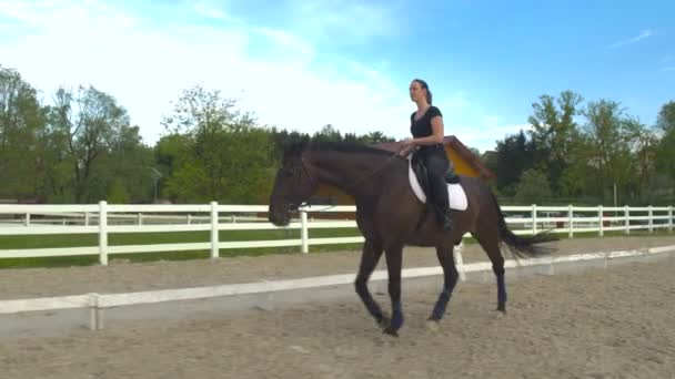 Joven jinete mujer caminando su caballo en largas riendas, calentándolo para el entrenamiento — Vídeos de Stock