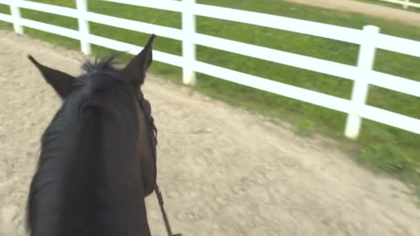 PRIMEIRA VISTA DE PESSOA: Montando um cavalo escuro alto, andando em um cerco arenoso — Vídeo de Stock