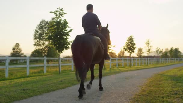 CERRAR: Anciano jinete montar a caballo y disfrutar del tiempo al amanecer — Vídeo de stock