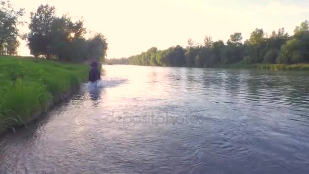 FERMER : Homme âgé sur un cheval fort trottant dans une rivière large et peu profonde — Video