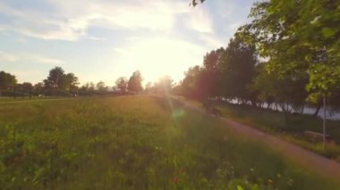 Anteni: doğada koyu kahverengi at sunrise adlı üst düzey kovboy binicilik