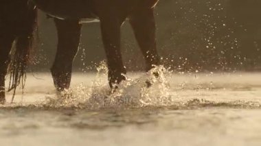 Yakın: serpme ve etrafında uçan at zaman nehrine yürüme damla su