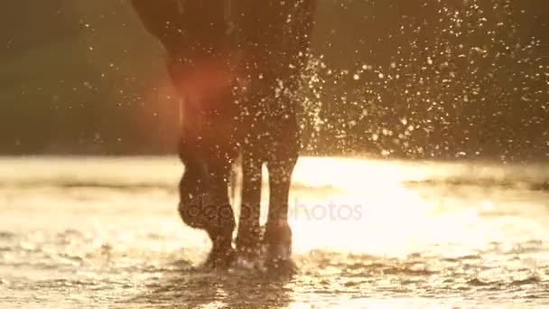 Närbild: Detalj av vatten droppar stänk medan stora häst promenader i floden — Stockvideo