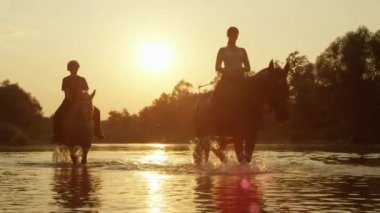 Yakın: Palomino ve büyülü gün batımında Nehri'nde biniciler ile koyu kahverengi at