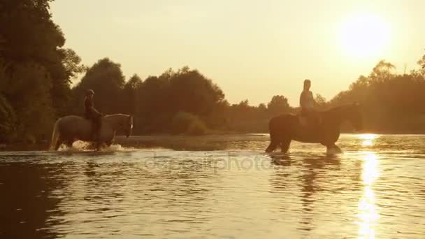 CLOSE UP: Two girls horseback riding across the river at magical sunset — Stock Video