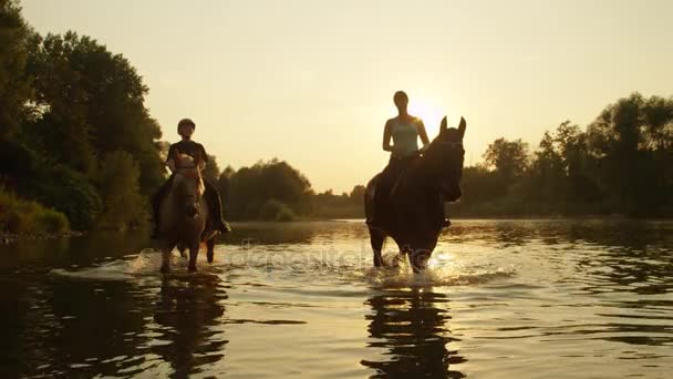 CERRAR: Chicas jóvenes a caballo por la orilla del río crecido en la salida del sol de oro — Vídeo de stock