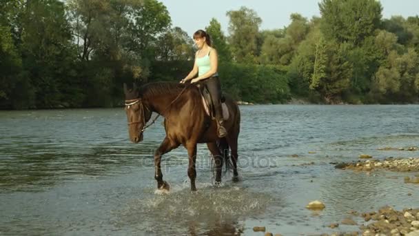 Movimiento lento: Joven jinete niña feliz montar a caballo en el río poco profundo — Vídeo de stock