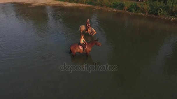 Anténa: Dvě ženské jezdci na koních koně v široké řeky na slunečný podvečer — Stock video