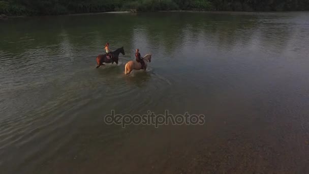 Antenne: Zwei Reiterinnen auf Pferden in breitem Fluss am späten sonnigen Morgen — Stockvideo