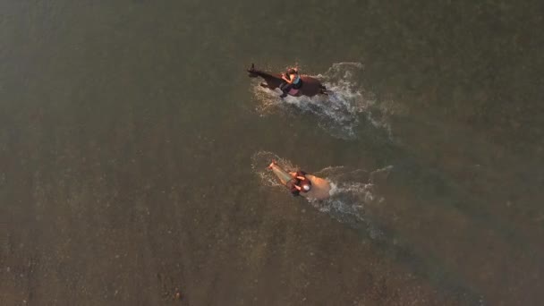 AERIAL: Light and dark horse with riders splashing in shallow river — Stock Video