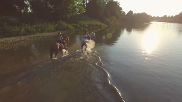 Zbliżenie: Dwie dziewczyny, spotykać się i jazda konna konie w rzece w słoneczny dzień — Wideo stockowe