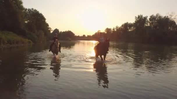 Close-up: Twee vrienden horseback het berijden in brede rivier bij magische zonsondergang — Stockvideo