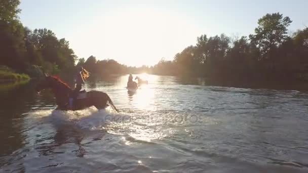 CERRAR: Tres novias montando caballos en el río en un día soleado impresionante — Vídeo de stock