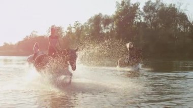 Yakın: etrafında su sıçramasına ve nehir biniciler ile oynayan atlar