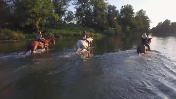 Zblízka: Tři veselá přítelkyně jezdeckých koní v řece na slunečný den — Stock video