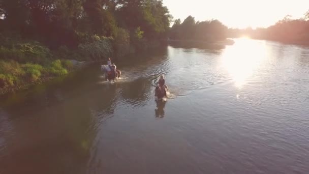 Zblízka: Tři veselá mladých jezdců na koních v řece na slunečný den — Stock video