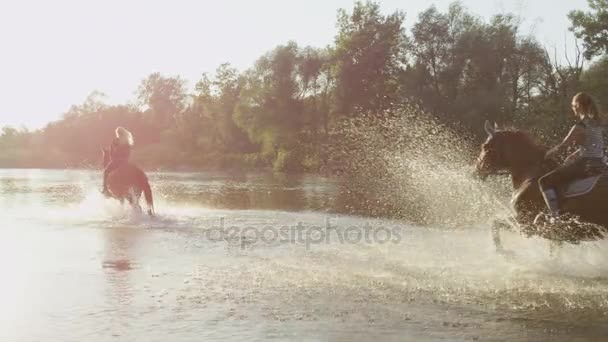 クローズ アップ: 馬ライダーの実行時に水滴を飛散と川 — ストック動画