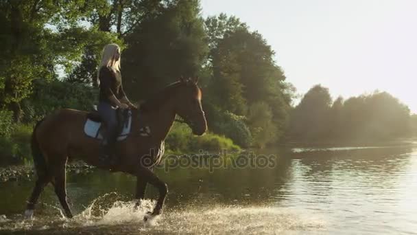 CHIUDI: Giovani ragazze che attraversano l'ampio fiume a cavallo in una bella giornata di sole — Video Stock