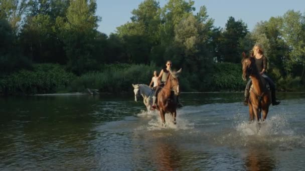 MOCIÓN LENTA: Tres niñas montando caballos contra corrientes de agua — Vídeo de stock