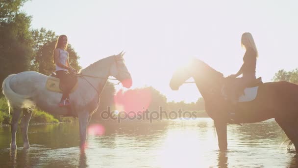 Zblízka: Dva silné koně s jezdci, stojící v řece, proti sobě