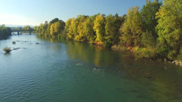 Antenne: Prachtige brede rivier met groene weelderige riverbank en grootstad in afstand — Stockvideo