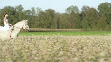 Ağır çekim: Masum genç kadın binicilik Bear Pembe çiçek açan alanındaki