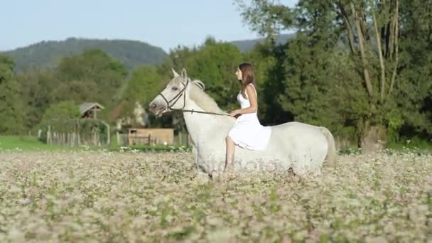 Zeitlupe: Glückliches Mädchen im weißen Kleid reitet weißes Pferd im blühenden Feld — Stockvideo