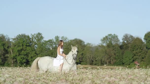 Slowmotion: Flicka i vit klänning barbacka ridning vit häst i blommande fält — Stockvideo