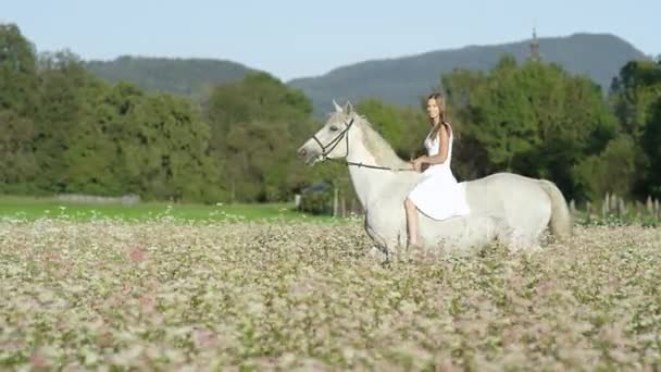 LOW MOTION: Menina inocente bonita montando cavalo branco no campo de floração rosa — Vídeo de Stock