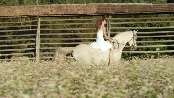 Slowmotion: Oskyldig ung kvinna Rider vithäst i rosa blommande fält — Stockvideo