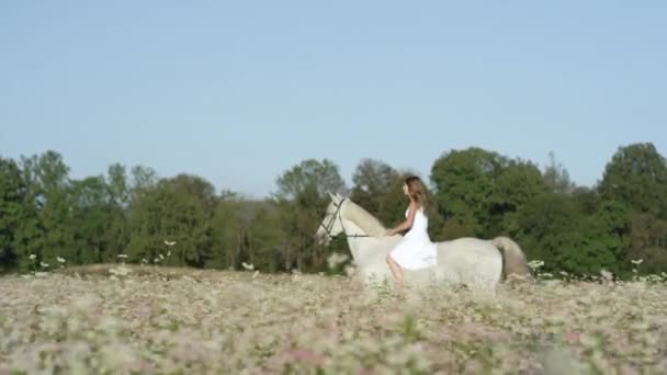 MOCIÓN LENTA: Hermosa chica inocente montando caballo blanco en el campo de floración rosa — Vídeos de Stock