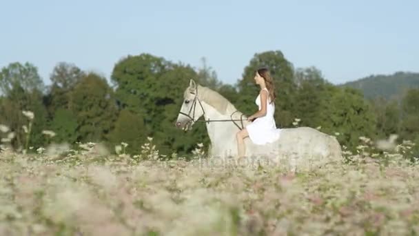 Slowmotion: Vackra oskyldig flicka rider vithäst i rosa blommande fält — Stockvideo