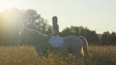 Ağır çekim: Güzel kız sürme beyaz at sunrise çiçekli pembe alanında