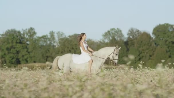 Movimiento lento: Mujer joven inocente cabalgando caballo blanco en el campo de flores de color rosa — Vídeos de Stock